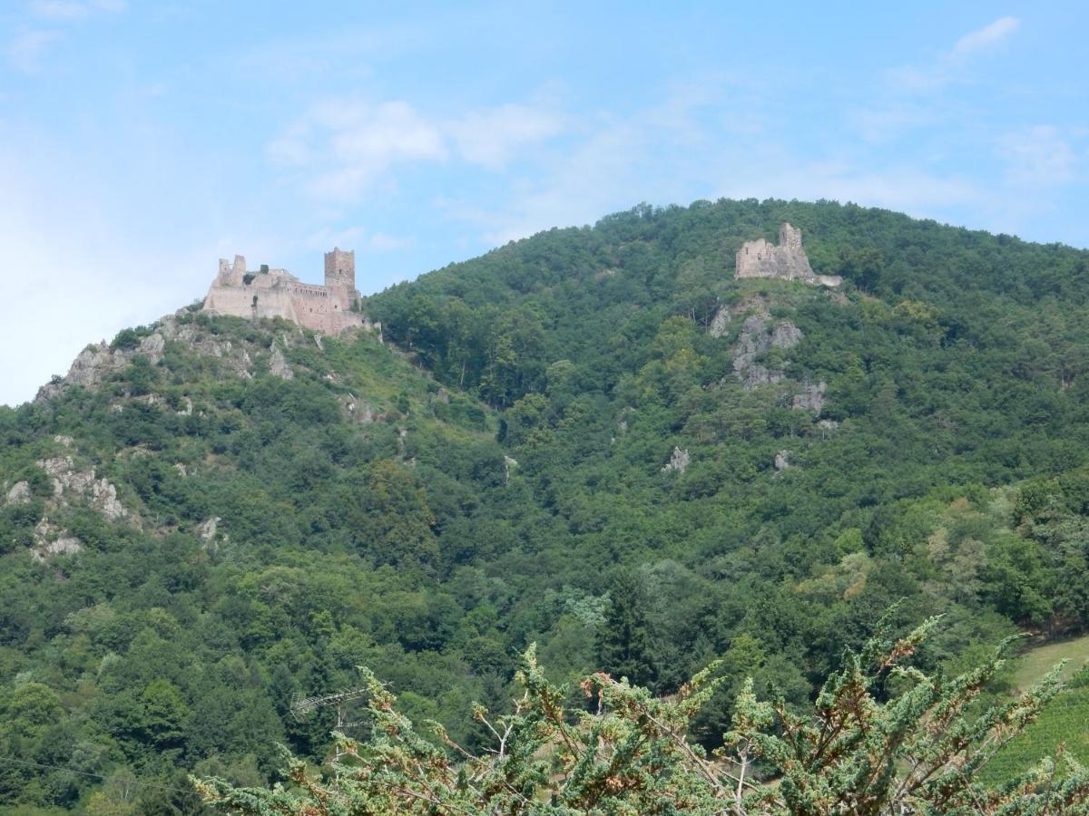 Gite Kientzler Ribeauvillé Exterior foto